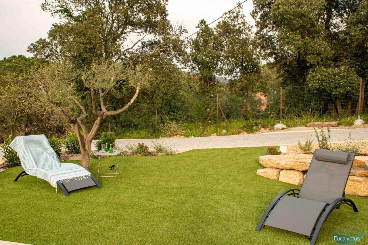 Le Clos Des Eucalyptus Le Plan-de-la-Tour Exteriör bild