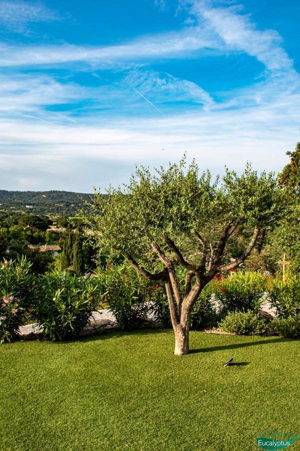 Le Clos Des Eucalyptus Le Plan-de-la-Tour Exteriör bild